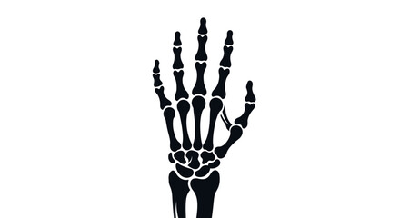 Detailed anatomical illustration of a human hand's skeletal structure.