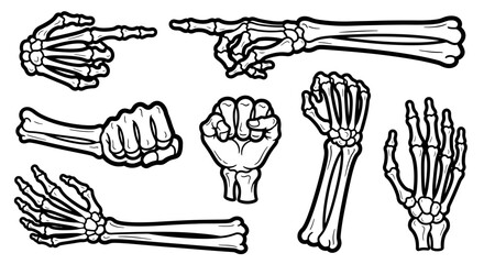 Collection of detailed skeletal hand illustrations, featuring various gestures and positions.