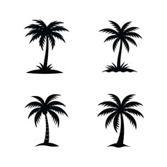 palm trees silhouettes