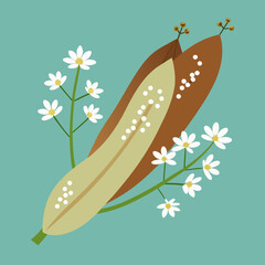 Flat vector of drumstick pods (sojne danta) with small white flowers, clean background