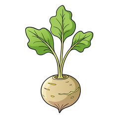 Hand-drawn style vector of kohlrabi (ol kapi) with leaves sprouting, isolated white background