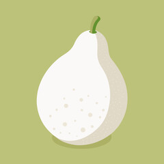Vector file of ash gourd (chalkumro) with powdery white texture, isolated background