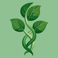 Unique vector of wild spinach (pui shak) leaves with twisting vine, isolated background