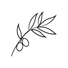 Outline drawing of olive branch with leaves and two olives on transparent background