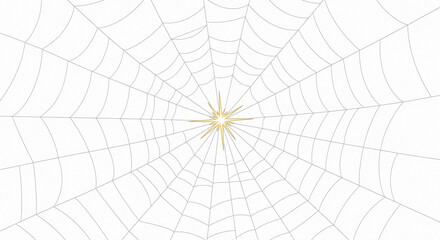 Obraz premium A detailed, symmetrical spider web with a bright, star-like center against a white background.