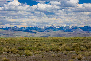 Summer steppe with dry grass against distant snow-capped mountain ridge in Altai, Russia