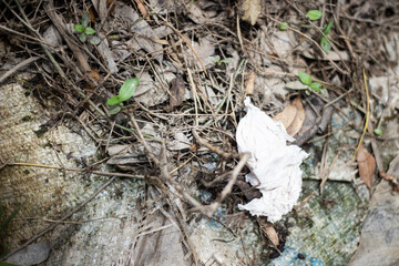 Closeup of forest floor debris with a crumpled white leaf