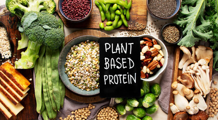 Asortment of plant based vegan protein products. Healthy eating.