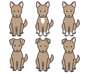 犬・保護犬・雑種犬／茶色い犬