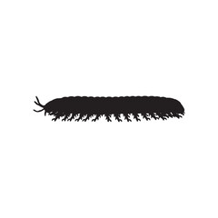 Millipede silhouette isolated on white background