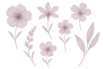 Fototapeta premium Soft pink botanical elements forming elegant floral pattern, enhancing transparent design with graceful natural aesthetic