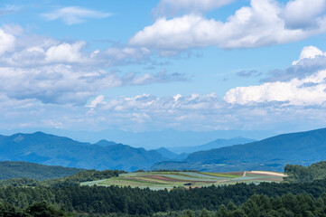 夏の嬬恋村 - 青空と畑が広がる高原の風景