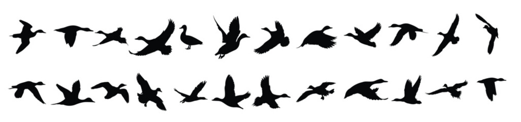 Flying wading ducks silhouette illustration set