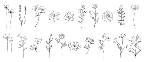Set of hand drawn botanical flowers line art vector