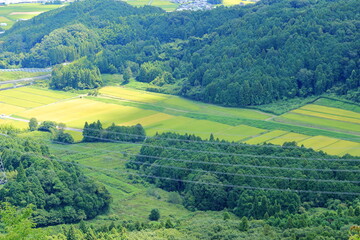 山間の田んぼ