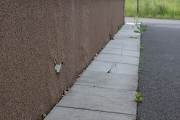 Peeling small parts on the lower exterior facade of a house.
