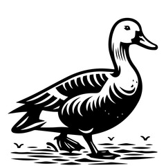 Illustration of a black and white duck wading in water with small birds flying in the background scene