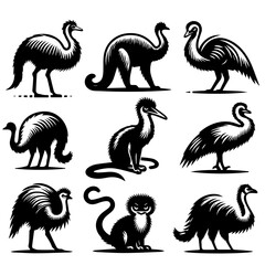Obraz premium Illustrative collection of stylized emus and other bird like creatures in black and white design