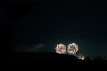 公園から見る花火大会の景色