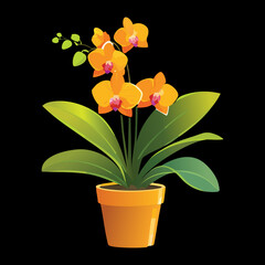 A Pot of Orange Orchids with a Flower Pot