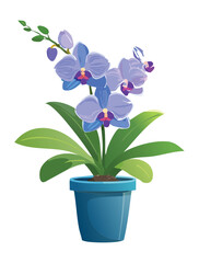 A classic and timeless digital illustration of a beautiful light blue and purple Phalaenopsis orchid plant with multiple blooms and lush green leaves, sitting in a simple blue pot