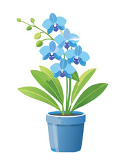 Beautiful Blue Orchid Plant with Green Leaves in a Pot.