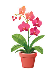 Beautiful Pink Orchid Houseplant in a Terracotta Pot