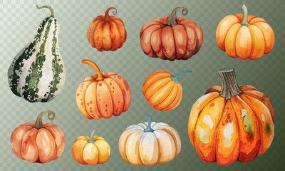 Charming pumpkin and gourd collection with warm autumn hues vector set. Ideal for fall-themed designs, harvest events, Thanksgiving decor, and artistic projects celebrating the harvest season.
