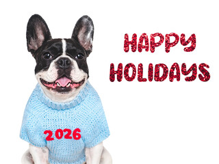 Happy Holidays. Puppy and congratulatory inscription. Merry Christmas and Happy New Year. Closeup,...