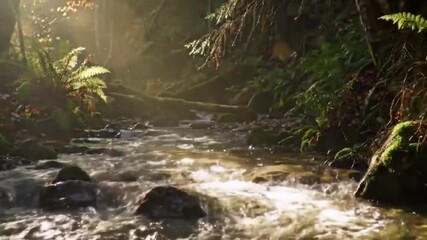 Golden Sunlight Illuminates a Serene Forest Stream Flowing Through Lush Green Woodland, with Ferns and Mossy Rocks in a Tranquil Nature Scene - Powered by Adobe