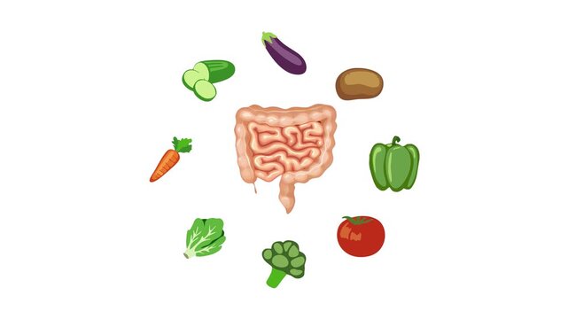 Healthy Food intestines Function Vegetable Diet Nutrition Flat Illustration Concept