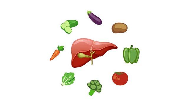 Healthy Food Liver Function Vegetable Diet Nutrition Flat Illustration Concept