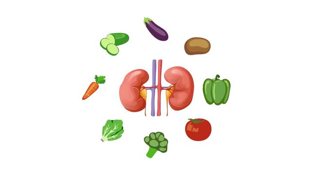 Healthy Food Kidney Function Vegetable Diet Nutrition Flat Illustration Concept