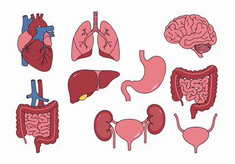 Colorful chairs set in various hues