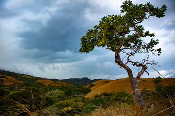 Rinca Island view with dramatic clouds