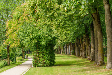 Sommerzeit in Coesfeld im Münsterland