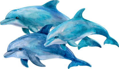 Cheerful dolphin watercolor illustration painting. Playful blue animal group art