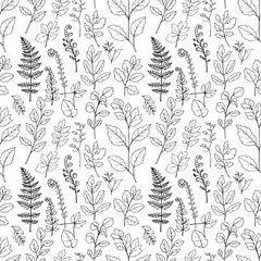 Seamless Pattern, Seamless pattern of fern and foliage outlines for botanical themed background Stock royalty free  image.