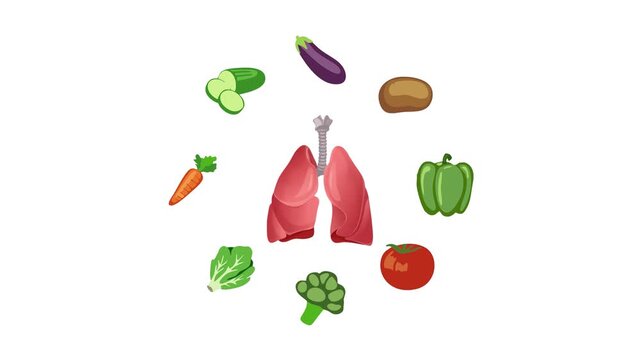 Healthy Food Lungs Function Vegetable Diet Nutrition Flat Illustration Concept