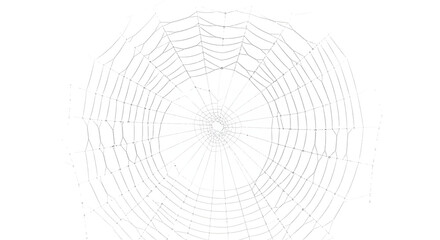 Obraz premium Realistic spiderweb cutout illustration