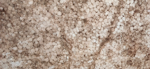 Fresh white granules of expanded polystyrene with soil texture