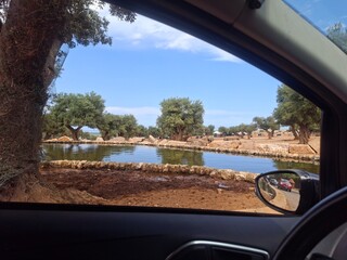 Beautiful photo of  zoo in Apulia, Italy. August, 2025.