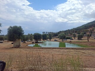 Beautiful photo of  zoo in Apulia, Italy. August, 2025.