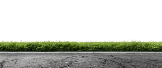Asphalt Road with Green Grass Border Isolated on Transparent Background