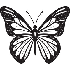 Hand-Drawn Butterfly Sketch