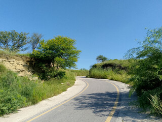 Rural Road with Yellow Edge Lines Flanked by Tall Green Grass and Utility Pole under Clear Blue Sky