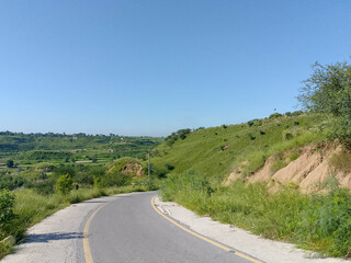 Rural Road with Yellow Edge Lines Flanked by Tall Green Grass and Utility Pole under Clear Blue Sky