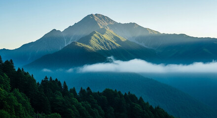 雲海に浮かぶ山々と深緑の森林が織りなす壮大な自然の山岳風景