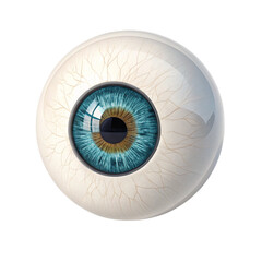 Realistic 3D Render of a Human Eye Capturing Detailed Iris and Sclera