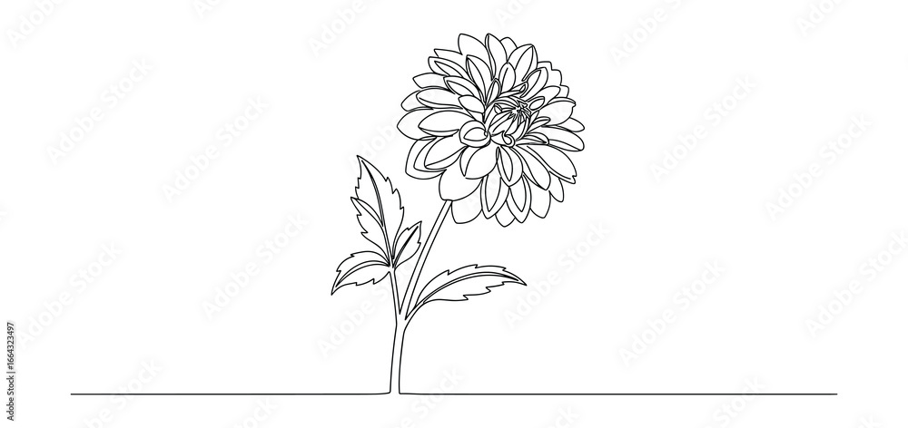 Poster Simple dahlia flower drawing in continuous line style. Modern and elegant black outline vector design.